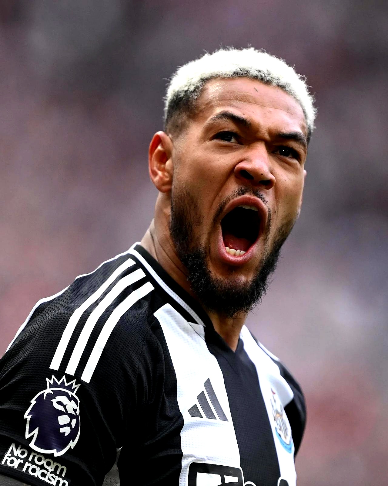 今夜纽卡斯尔再遭质疑：国王杯节点到来，震撼外界，赛程密集仍需轮换的简单介绍